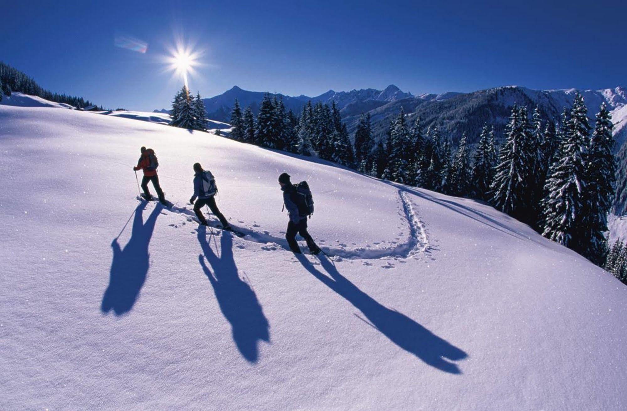 Hotel Alpina Ried im Zillertal Exteriör bild